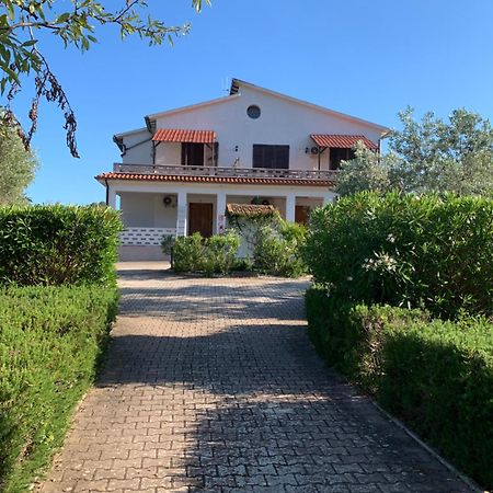 Villa Conti Residence Lacona Εξωτερικό φωτογραφία