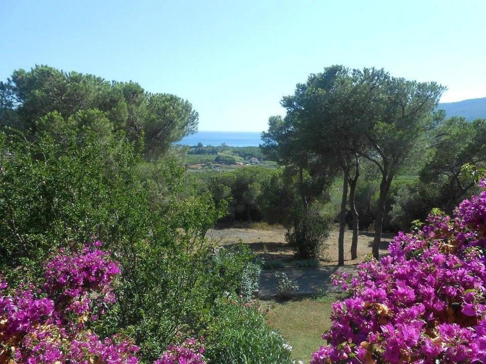 Villa Conti Residence Lacona Εξωτερικό φωτογραφία